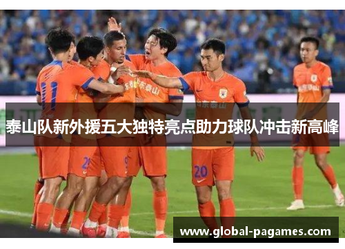 泰山队新外援五大独特亮点助力球队冲击新高峰 泰山队新外援五大独特亮点助力球队冲击新高峰