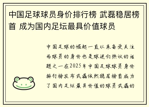 中国足球球员身价排行榜 武磊稳居榜首 成为国内足坛最具价值球员