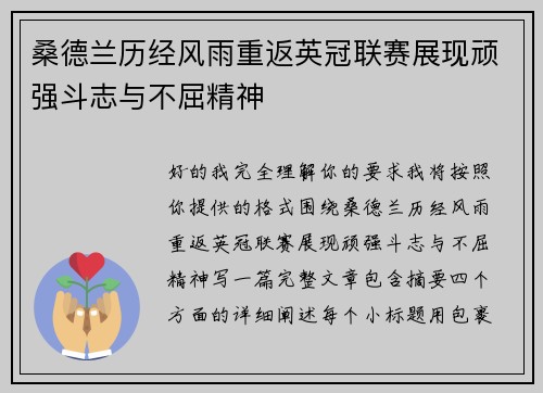 桑德兰历经风雨重返英冠联赛展现顽强斗志与不屈精神